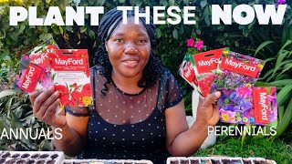 SOW THESE IN AUGUST! 🌸 20+ Flowers to  Plant Right Now For Spring Blooms