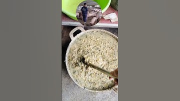 có bác nào còn nấu cám như này không ạ #phamducthai #supervet #thaithaovet #farm #heo #benhvatnuoi