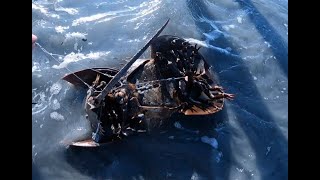 LOOK AT these PREHISTORIC creatures we caught while SURF FISHING! by SaltEastSimon 293 views 1 month ago 11 minutes, 59 seconds