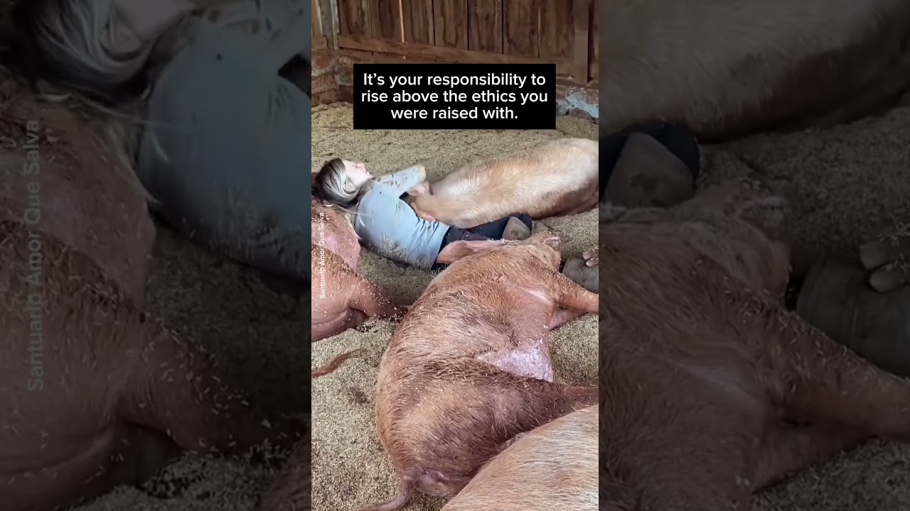 Rise above the ethics you were raised with. ❤️‍🩹