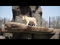 Lake tobias wildlife park  now open everyday