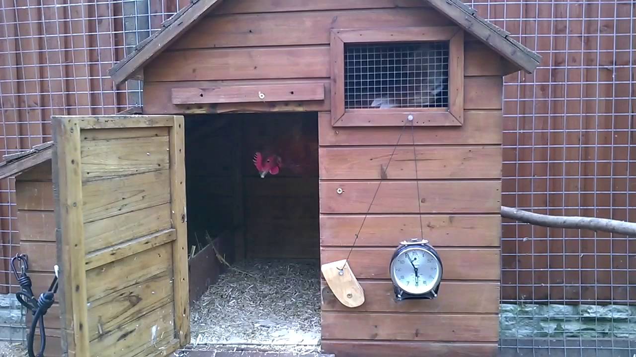 Chicken coop alarm clock door opener YouTube