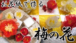 kimie gangi お花紙で作る「八重咲きの梅の花」 #五色鶴 #簡単 #高齢者 #お花紙クラフト #diycrafts #壁面飾り #正月 #紅梅 #白梅