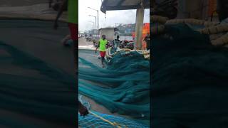 boat fish work goa #music #fishing