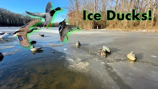 Landing Ducks On Ice - Ice Hole Duck Hunt - Arkansas Duck Hunting #hunting #ducks #waterfowl #duck