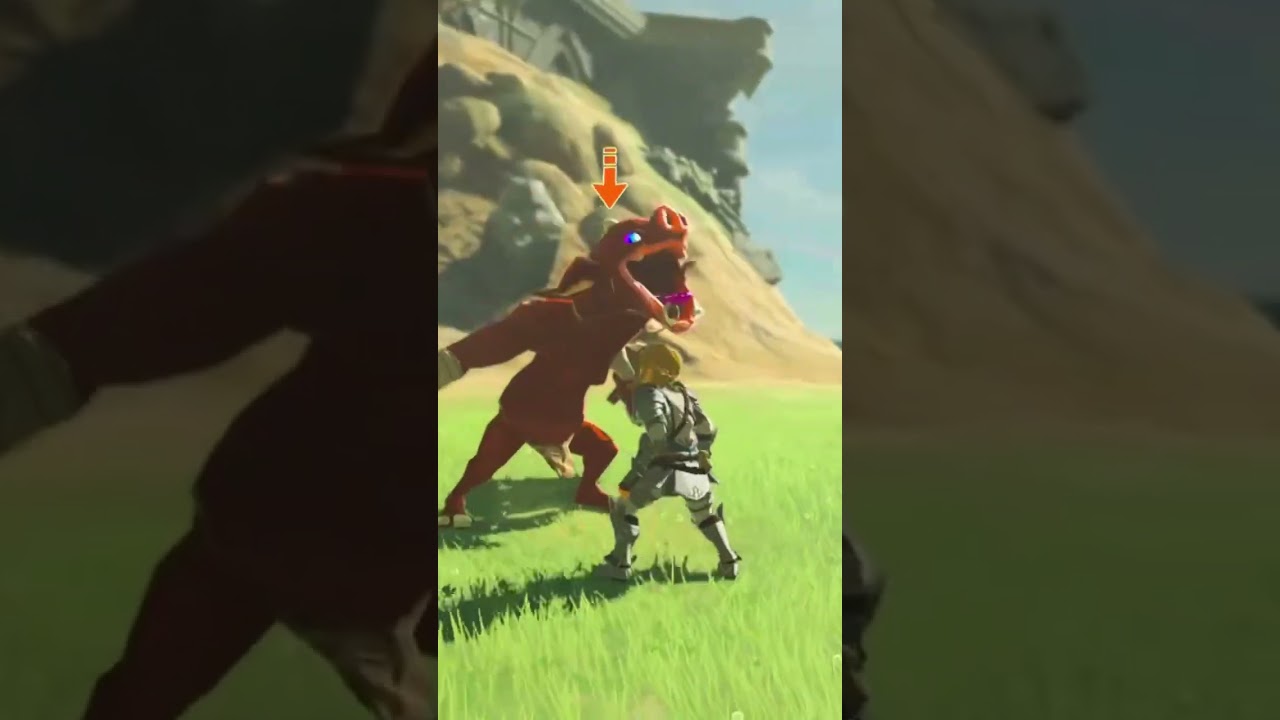 This is how I train flurry rush| botw