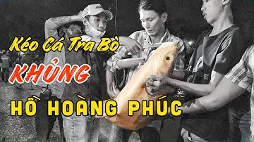 Kéo Cá Tra Bò Khủng Hồ Hoàng Phúc | Giải Câu Cá Tra Đêm | Chung Nguyễn Fishing