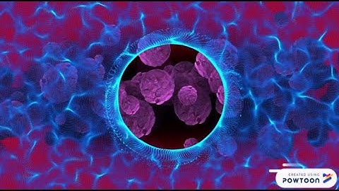 Histopathological Cancer Detection