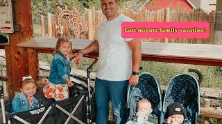 Last Minute Family Vacation to Farmington, Utah - Zoo, Park, Shopping *Best Time*