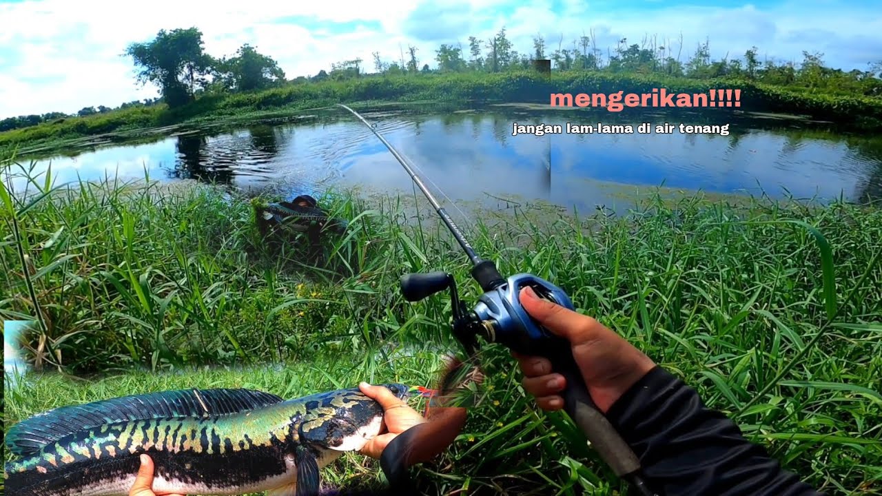 SEPOT INI SUNGGUH SANGAT EXSETRIM!!!!!!!!..... Liat hasilnya sungguh tidak mengecewakan?.