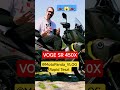 VOGE SR 450X teljes teszt a csatornán #motorteszt #voge #robogó #sr450x #motopanda #scooter