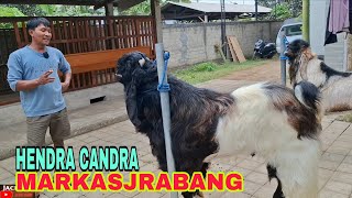 MARKAS JRABANG KONDANG TULUNGAGUNG .HENDRA CANDRA