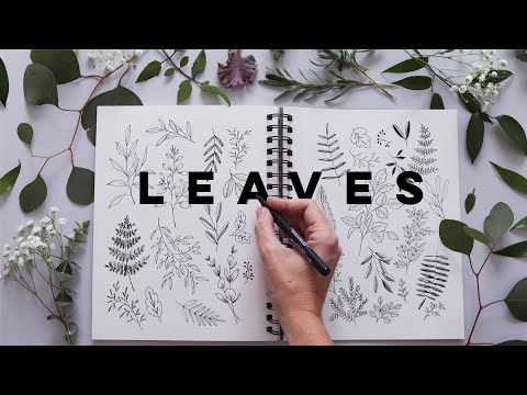 Video: How To Draw Leaves With A Pencil