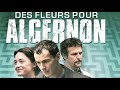 DES FLEURS POUR ALGERNON  🐭 -  (LE FILM)  🎥