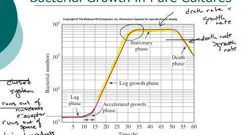 ENE 483 Population Dynamics (9/9/2020)