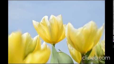 المصحف المعلم مشارى راشد ترديد اطفال جزء عم سورة  الانشقاق