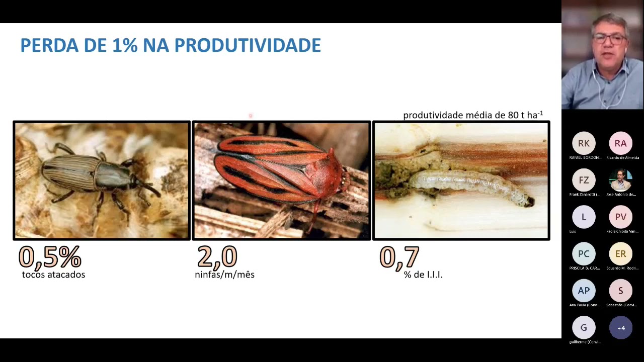 Controle Biológico de Pragas na Cana-de-Açúcar