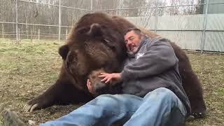 Animals Reunited With Owners After Years!