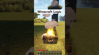 Minecraft’s Logic Makes no Sense! 😳