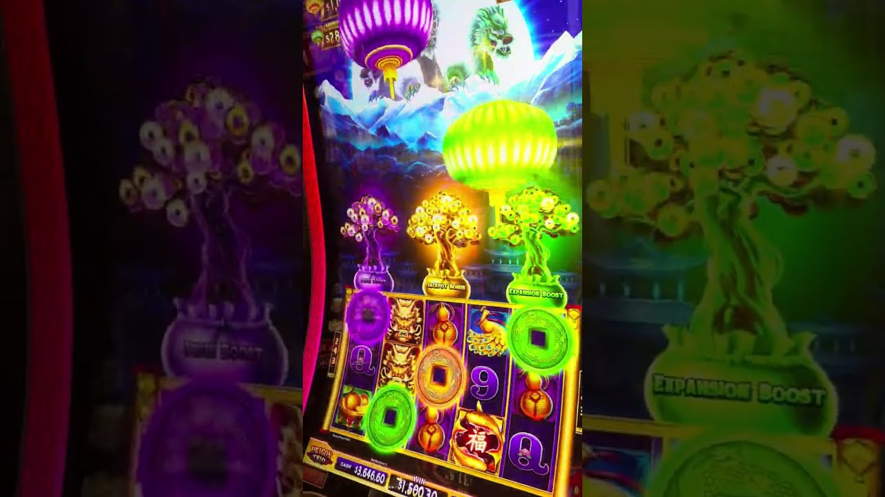 澳門新濠天地搖錢樹老虎機中Jackpot！一鋪贏$1500實錄| 刺激賭場體驗🎰💰 - YouTube