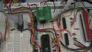 Embedded Systems Lab 10 Task 1 Finale Net Worth