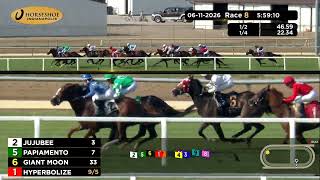 RACE 8 PROGRAM 06 11 2026