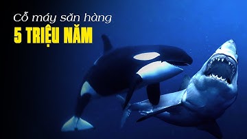 Quên Cá Mập Đi, Đây Mới Là Boss Của Đại Dương!