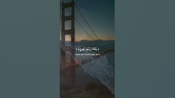 ٱللَّهُ نُورُ ٱلسَّمَٰوَٰتِ وَٱلۡأَرۡضِۚ | من سورة النور بصوت القارئ احمد خضر