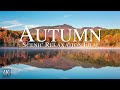 Autumn 4K Scenic Relaxation Film | 🍂 Fall Leaves with Ambient Calming Music