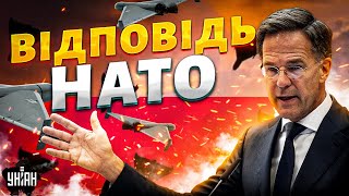 ⚡️3 ХВИЛИНИ ТОМУ: Реакція НАТО на атаку Польщі! ТЕРМІНОВА заява / НЕСВІТАЙЛОВ / КЛОЧОК TIME