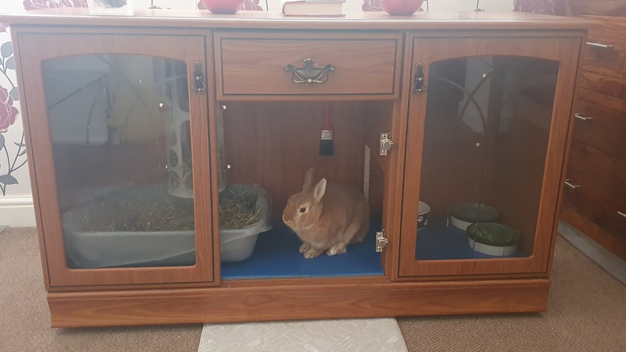 DIY rabbit hutch from a cabinet for indoor use - YouTube