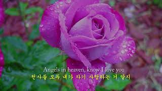 Down In The Valley 계곡 아래 -Burl Ives & YouShine (영어와 한글자막)
