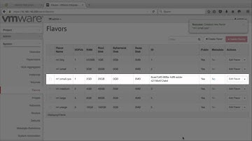 VMware Integrated OpenStack for NFV: VM Resource Allocation
