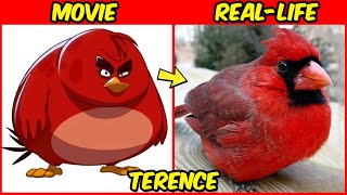The Angry Birds Movie 1 \& 2 🔥 Real-Life 👉 All Characters