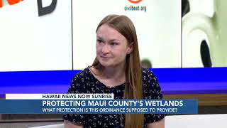 Saving Hawaiʻis wetlands: Maui offers a cautionary tale