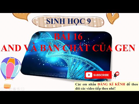 Video Sinh học 9 -Bài 16: ADN và bản chất của gen - youtube
