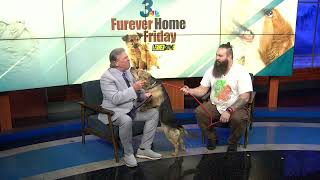 Furever Home Friday 2/14/25 | Lerner & Rowe