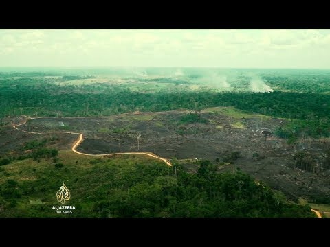 Krčenjem šuma ugrožen veliki dio Amazona