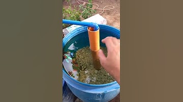 Additional Oxygen for Tilapia using Venturi / Cleaned Biofilter