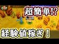 【ポケモン超不思議のダンジョン】簡単に経験値を稼ぐ方法【解説実況】