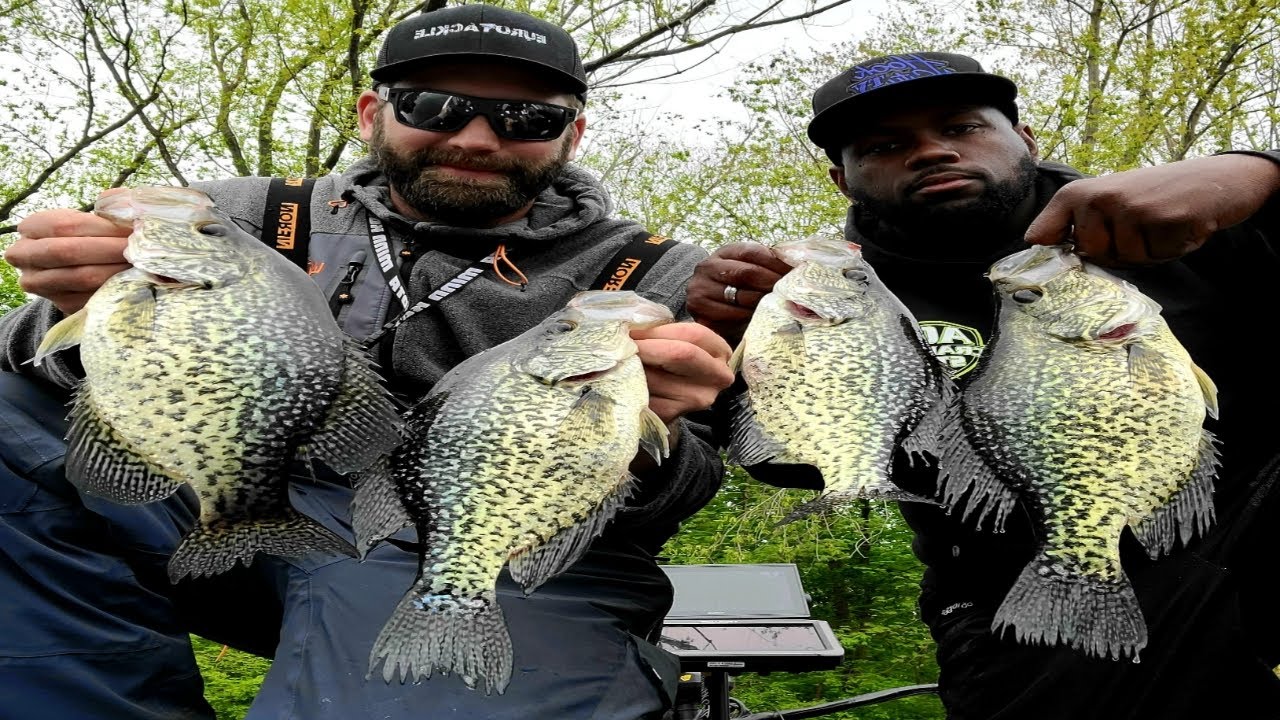 Best New Crappie Lures For Monster Spring Crappie ***Give Away