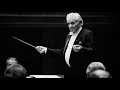 Haydn - Symphony n°102 - Vienna / Bernstein