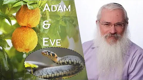 Adam & Eve: The Whole Story Doesn't Make Sense - u...