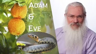 Adam & Eve: The Whole Story Doesn't Make Sense  until now