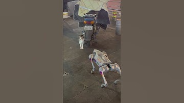#robot #nextgenai #robotics #automation #shorts