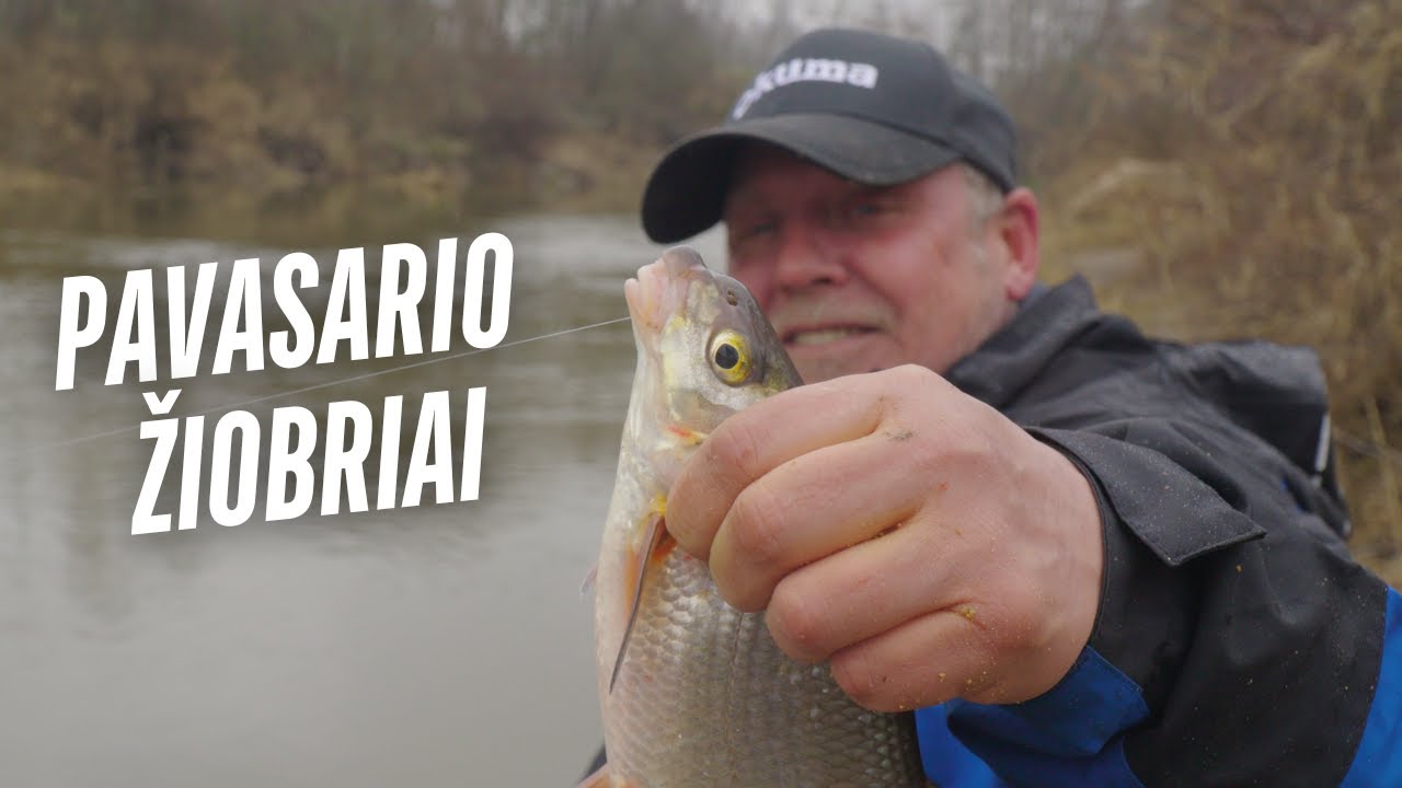 Vienam gale kablys: Pirmieji pavasario žiobriai | žūklė su Pauliumi Korsaku