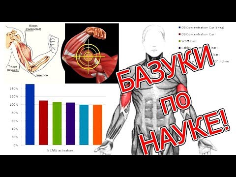 БАЗУКИ по НАУКЕ