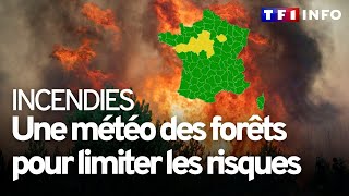 La météo des forêts : la carte en avant-première diffusée sur TF1 screenshot 5