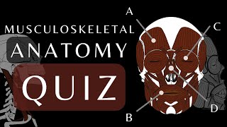 Muscles of the Head and Neck Quiz | Anatomy and Physiology #musculoskeletalsystem #humananatomy