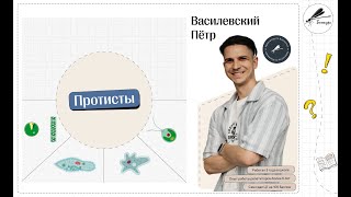 картинка: Протисты Биология ЦТ ЦЭ